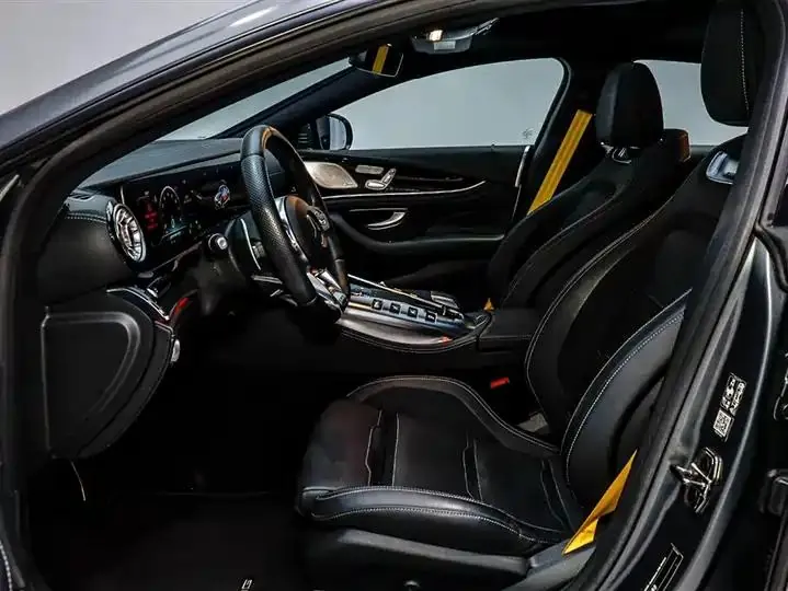 2020 AMG GT AMG GT 50 Four-Door Coupe 29