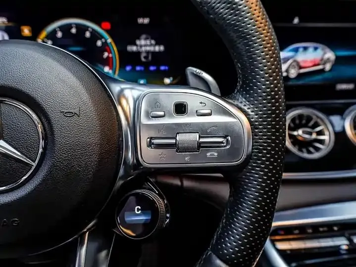 2020 AMG GT AMG GT 50 Four-Door Coupe 35