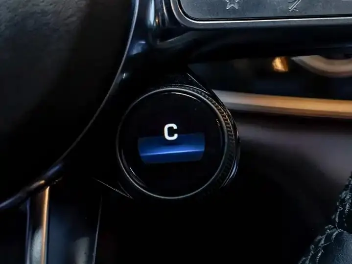 2020 AMG GT AMG GT 50 Four-Door Coupe 4