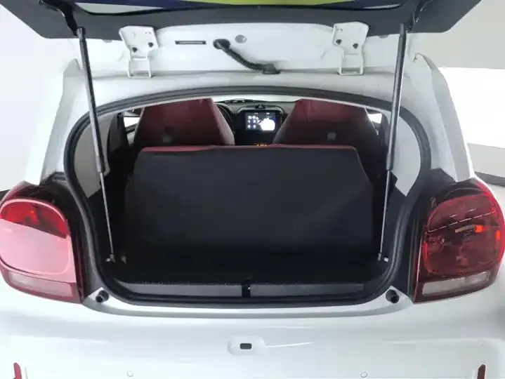 CLEVER 2021 302km New Four-seat Super Edition 4