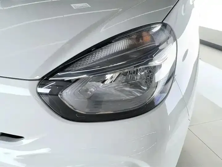 CLEVER 2021 302km New Four-seat Super Edition 5