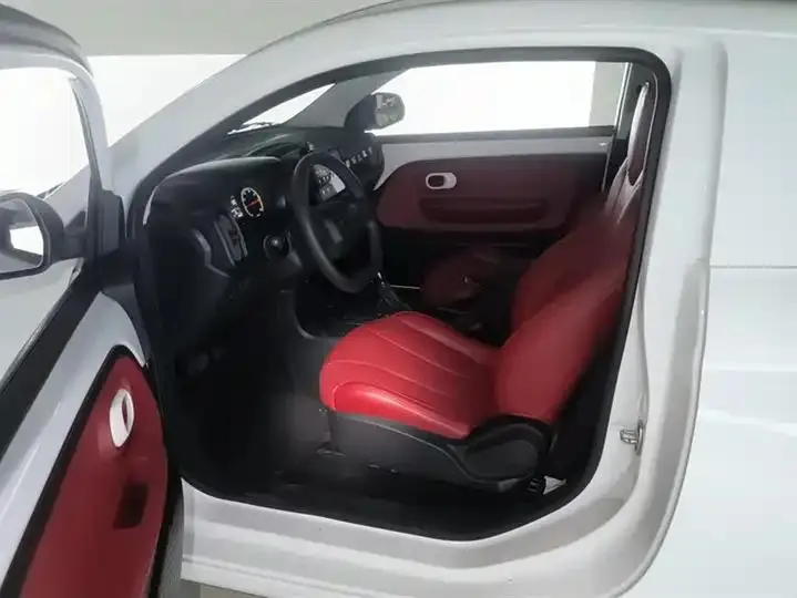 CLEVER 2021 302km New Four-seat Super Edition 9