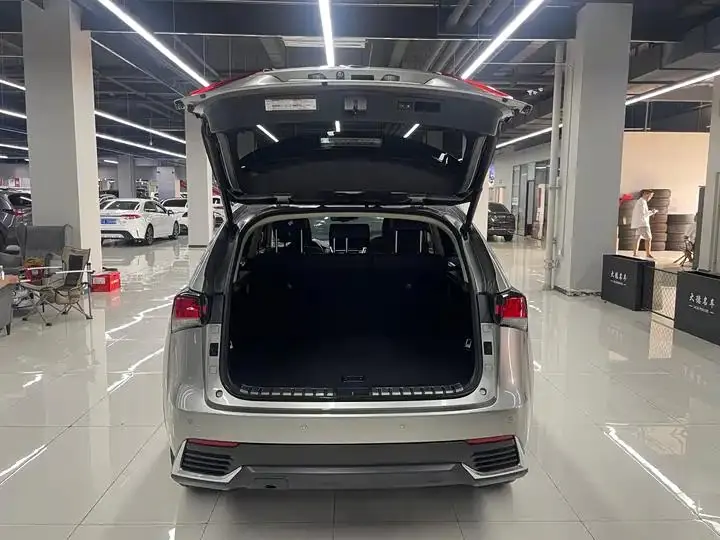 Lexus NX 2020 200 Full Drive Front Edition National V 11