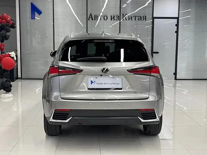 Lexus NX 2020 200 Full Drive Front Edition National V 4