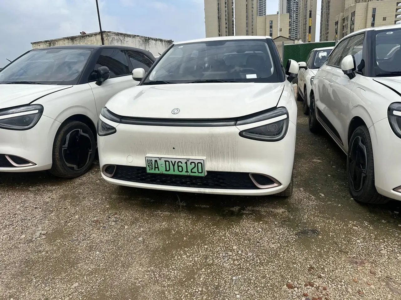 Nammi 01 2024 430 Plus 2