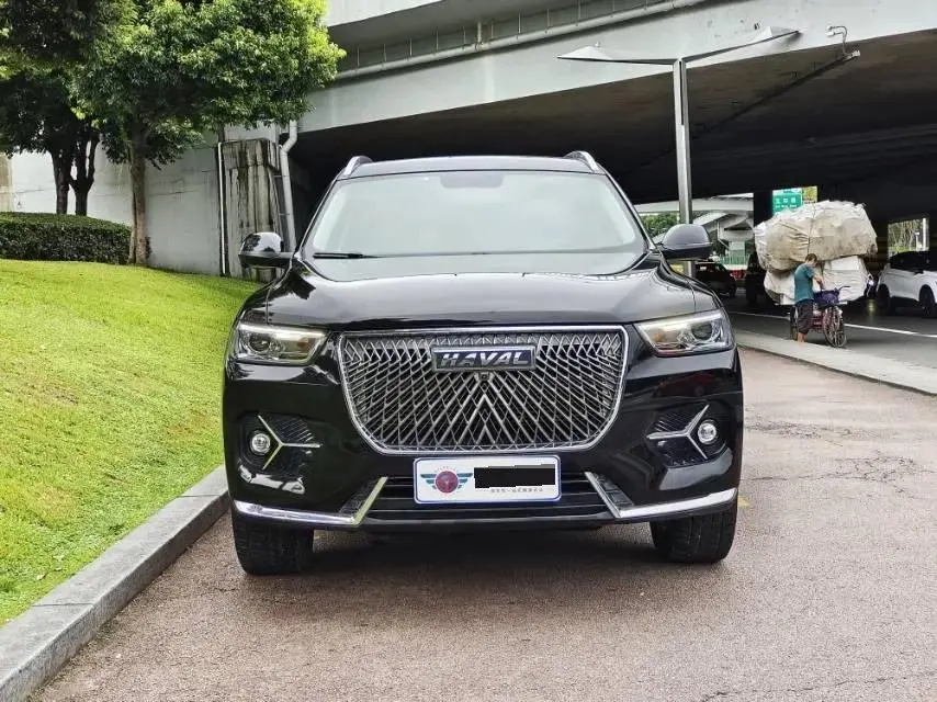 Haval H6 2021 National Tide Edition 1.5GDIT Automatic Champion Edition 5