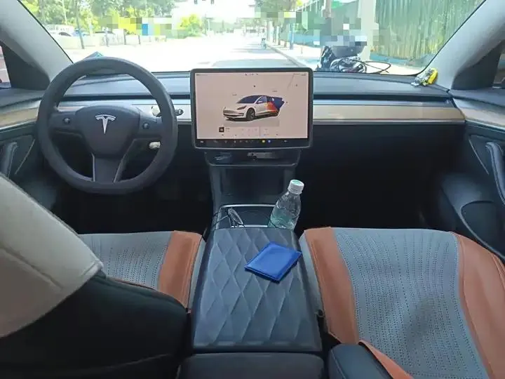 Model 3 2022 rear-wheel drive version 13