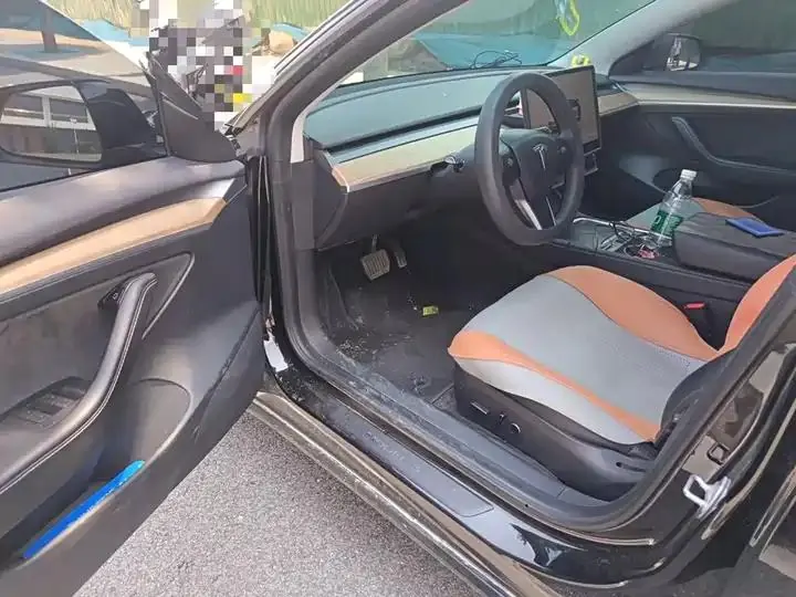 Model 3 2022 rear-wheel drive version 14