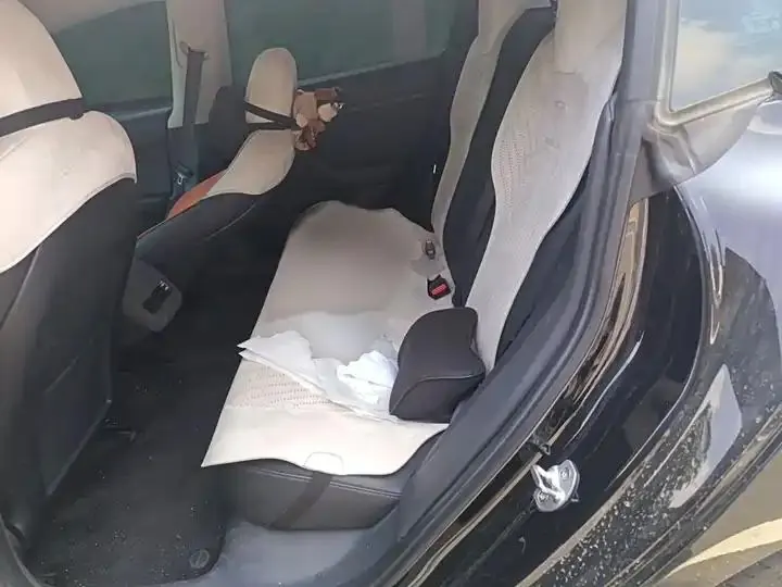 Model 3 2022 rear-wheel drive version 15