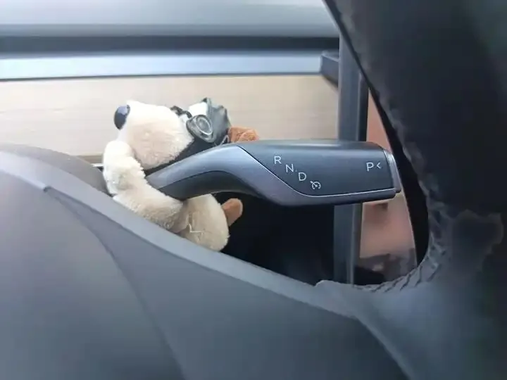 Model 3 2022 rear-wheel drive version 7