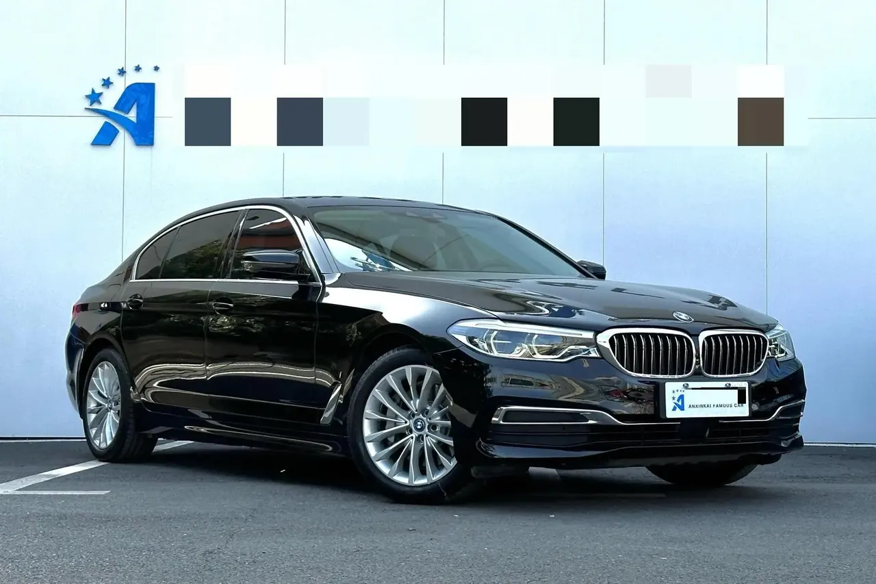 BMW 5 Series New Energy 2020 Model Mileage-Upgraded Version 530Le Luxury Package 2