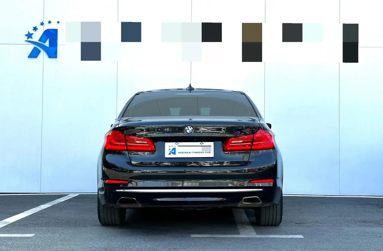 BMW 5 Series New Energy 2020 Model Mileage-Upgraded Version 530Le Luxury Package 4