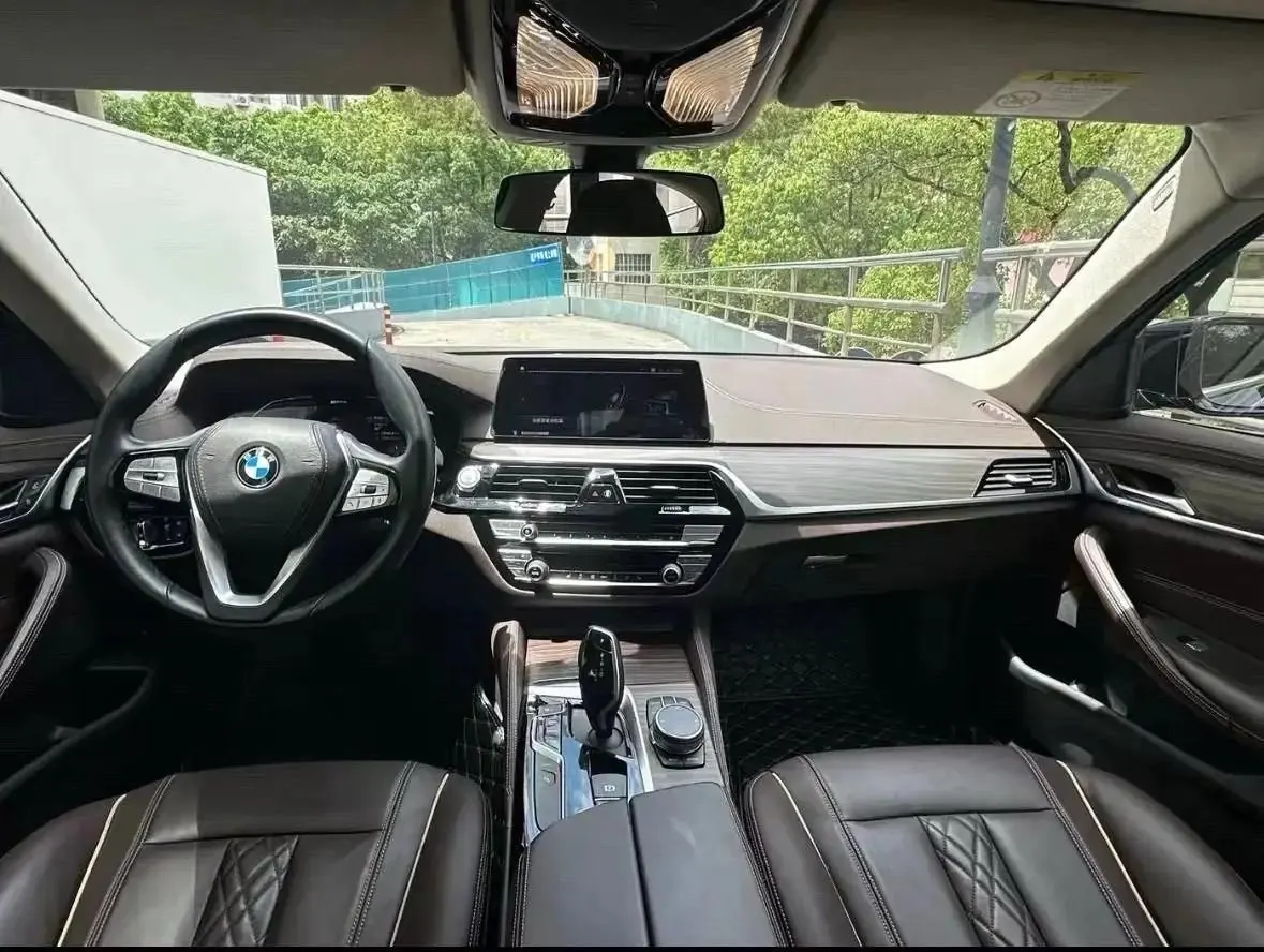 BMW 5 Series New Energy 2020 Model Mileage-Upgraded Version 530Le Luxury Package 6