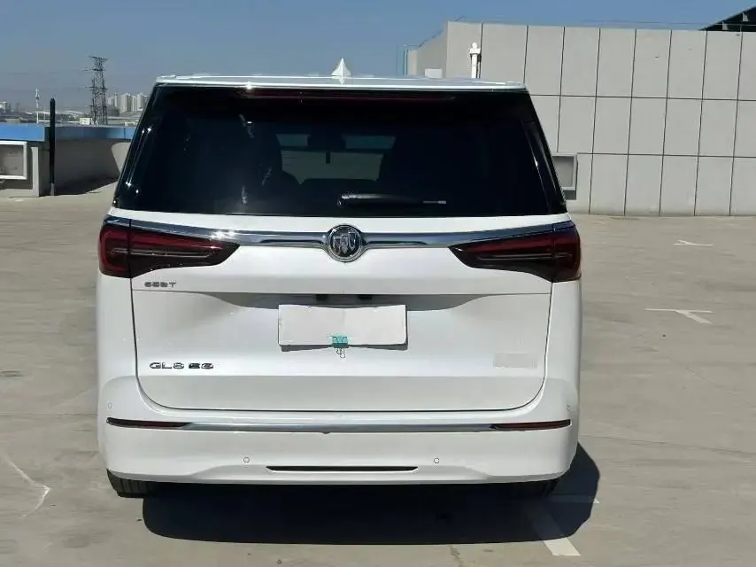 Buick GL8 2020 ES Land Noble 653T Prestige Model 4
