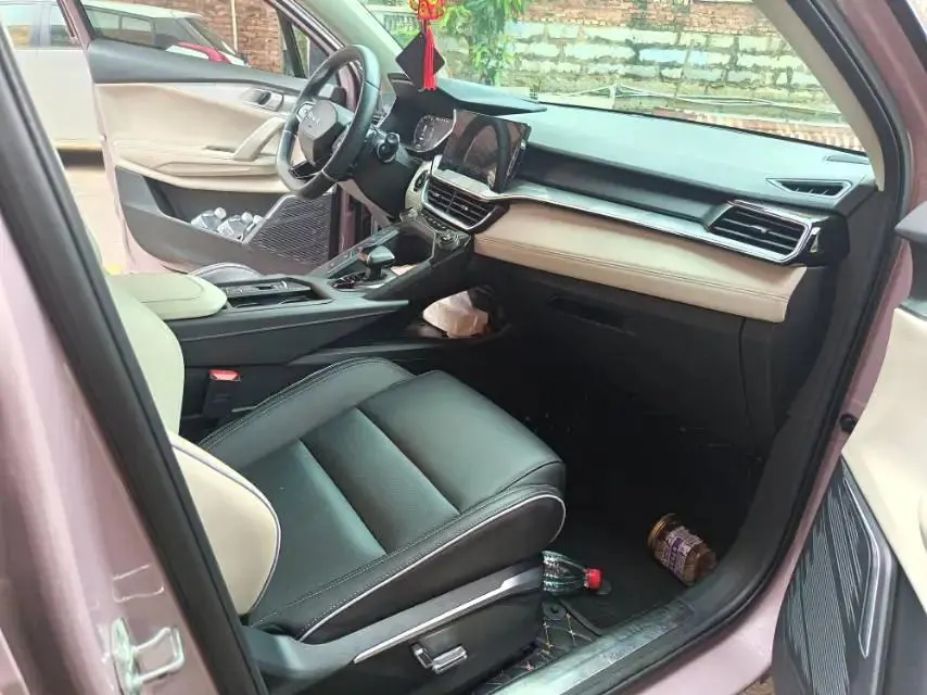 LYNK&amp;CO 06 2021 1.5T Shero Pink Special Edition 6