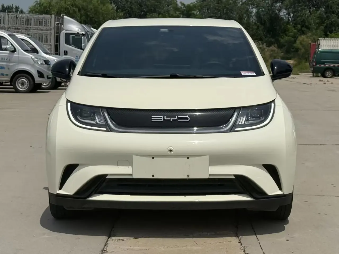 BYD 2023 Dolphins 420km Free Edition Automatic 2