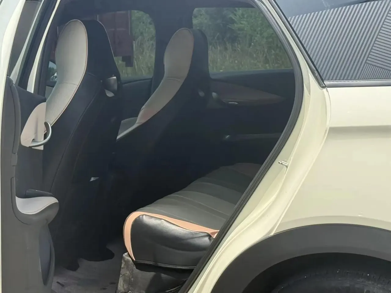 BYD 2023 Dolphins 420km Free Edition Automatic 6