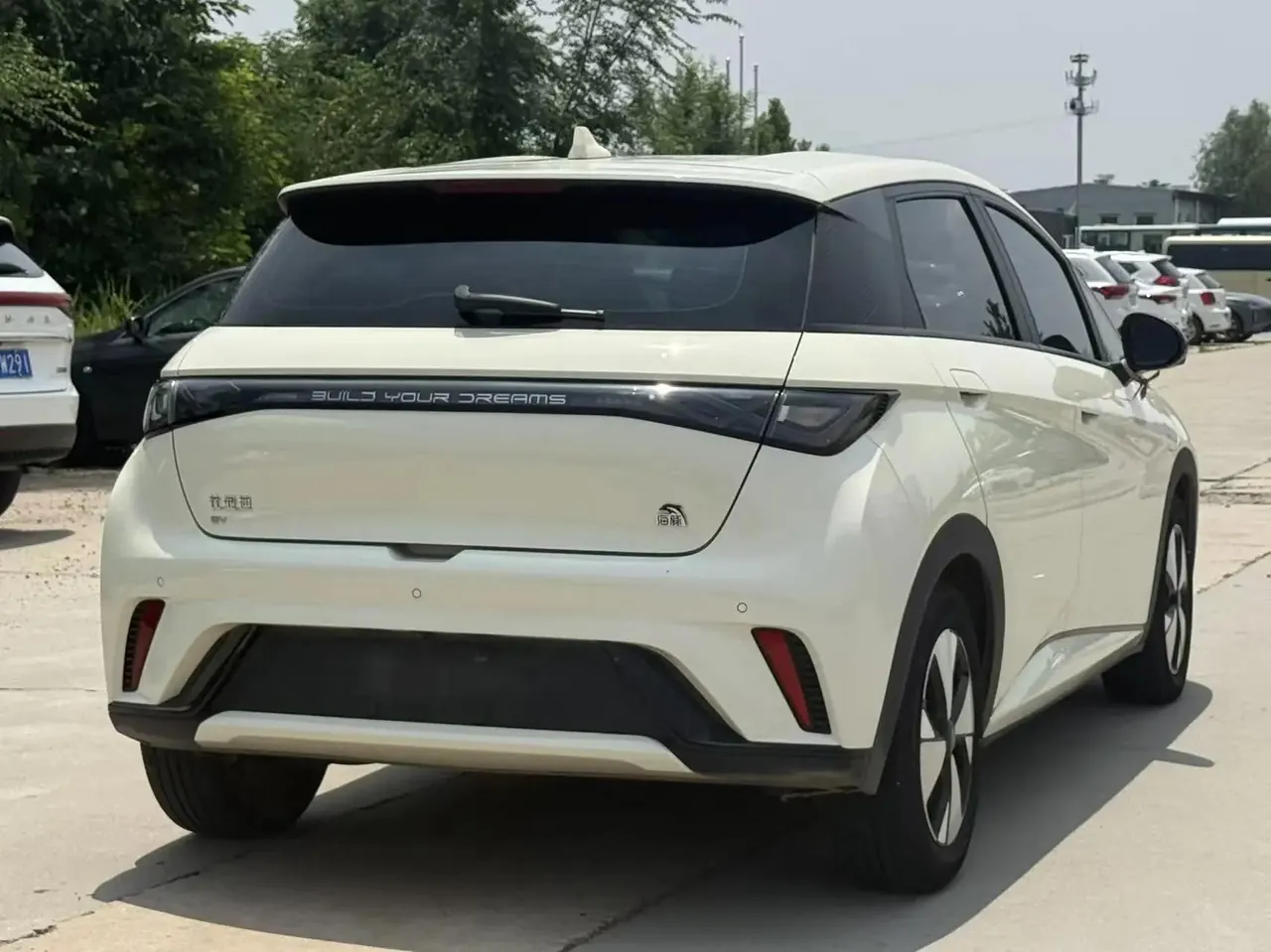 BYD 2023 Dolphins 420km Free Edition Automatic 9
