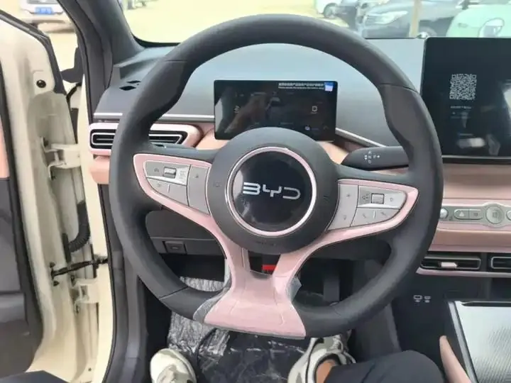 Seagull 2025 Smart Driving Edition 305km Vital Edition 11