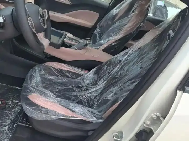 Seagull 2025 Smart Driving Edition 305km Vital Edition 15