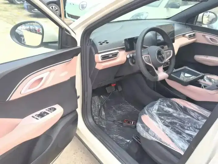 Seagull 2025 Smart Driving Edition 305km Vital Edition 16
