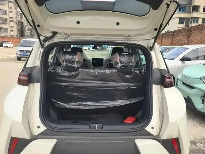 Seagull 2025 Smart Driving Edition 305km Vital Edition 19