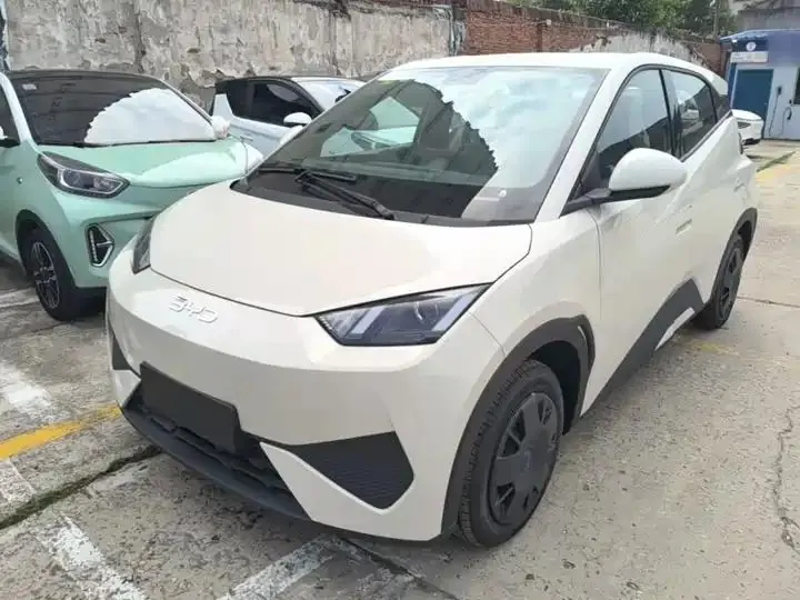 Seagull 2025 Smart Driving Edition 305km Vital Edition 2