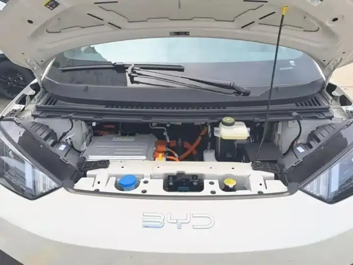 Seagull 2025 Smart Driving Edition 305km Vital Edition 20