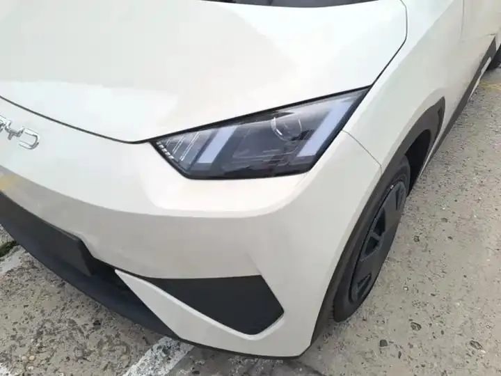 Seagull 2025 Smart Driving Edition 305km Vital Edition 24