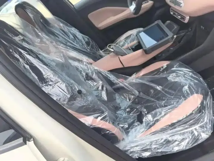 Seagull 2025 Smart Driving Edition 305km Vital Edition 25