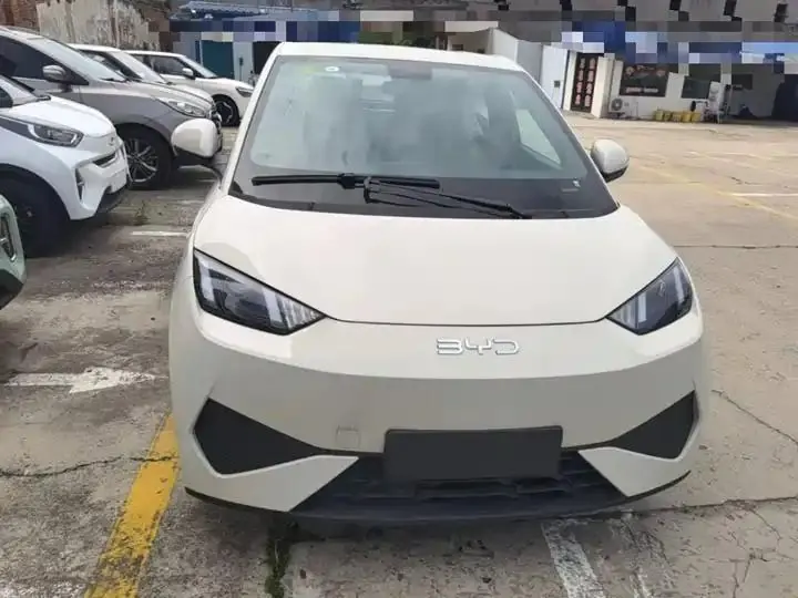 Seagull 2025 Smart Driving Edition 305km Vital Edition 3