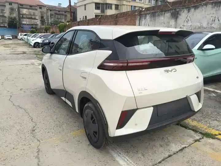 Seagull 2025 Smart Driving Edition 305km Vital Edition 5