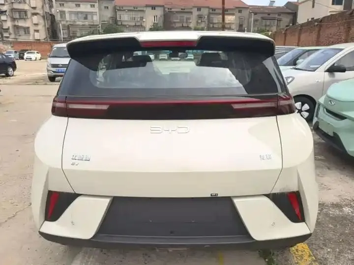 Seagull 2025 Smart Driving Edition 305km Vital Edition 6
