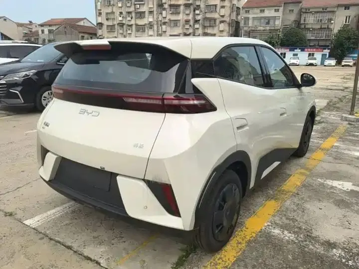 Seagull 2025 Smart Driving Edition 305km Vital Edition 7