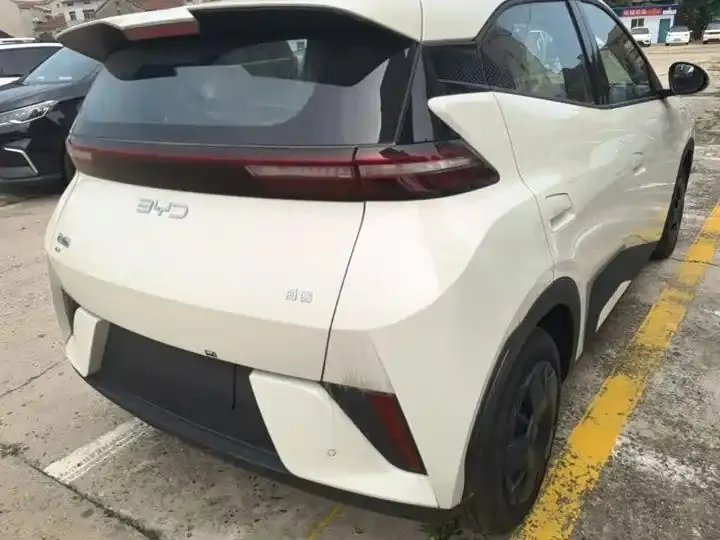 Seagull 2025 Smart Driving Edition 305km Vital Edition 8
