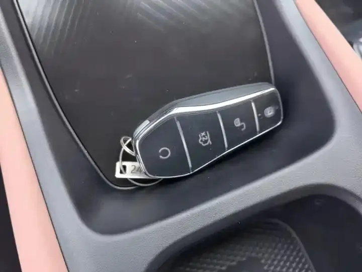 Seagull 2025 Smart Driving Edition 305km Vital Edition 9