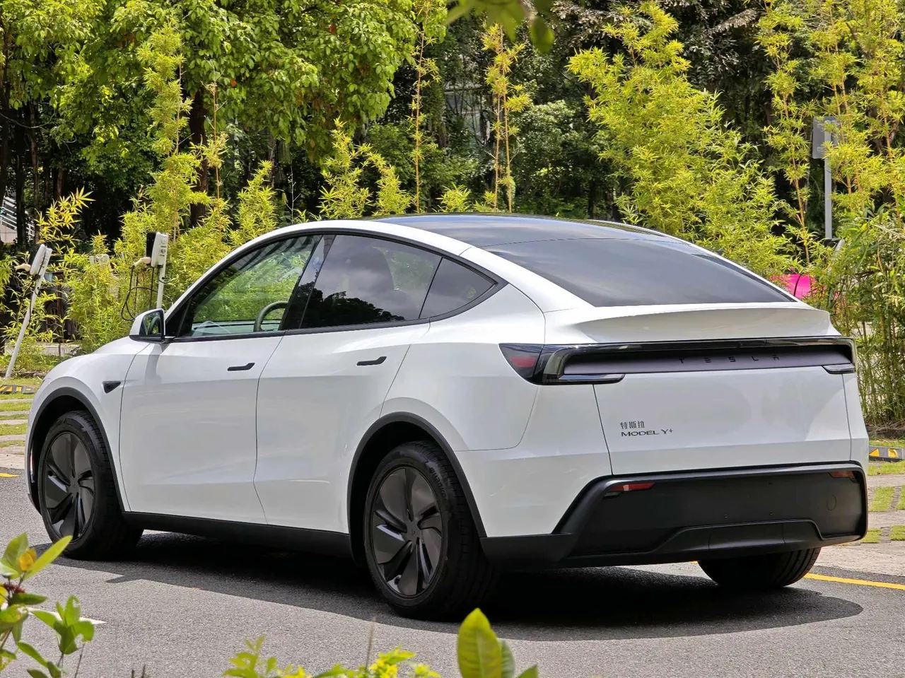 Tesla 2026 Model Y Long Range Rear-Wheel-Drive Automatic 7