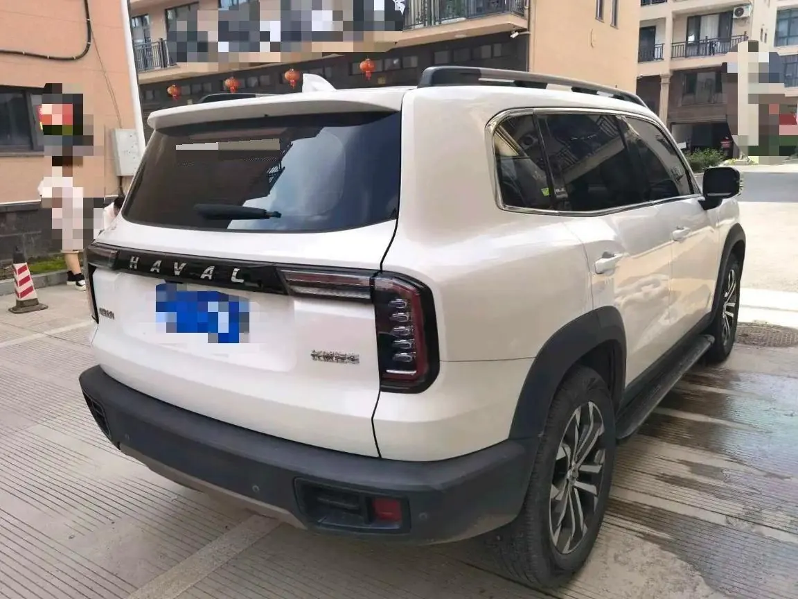 Haval 2021 Big Dogs 1.5T Border Animal Husbandry Wangcai Edition Automatic Gear 4