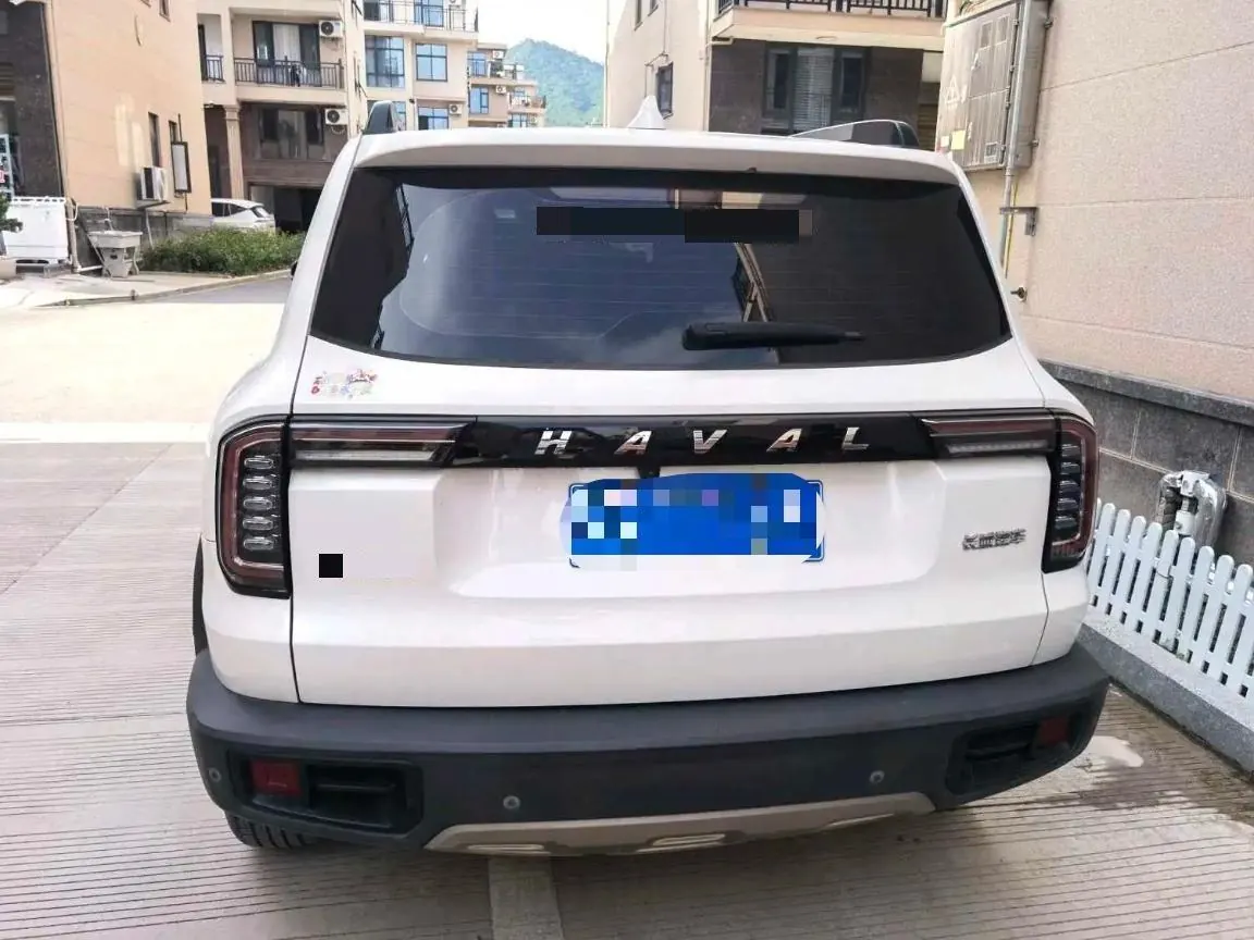 Haval 2021 Big Dogs 1.5T Border Animal Husbandry Wangcai Edition Automatic Gear 5
