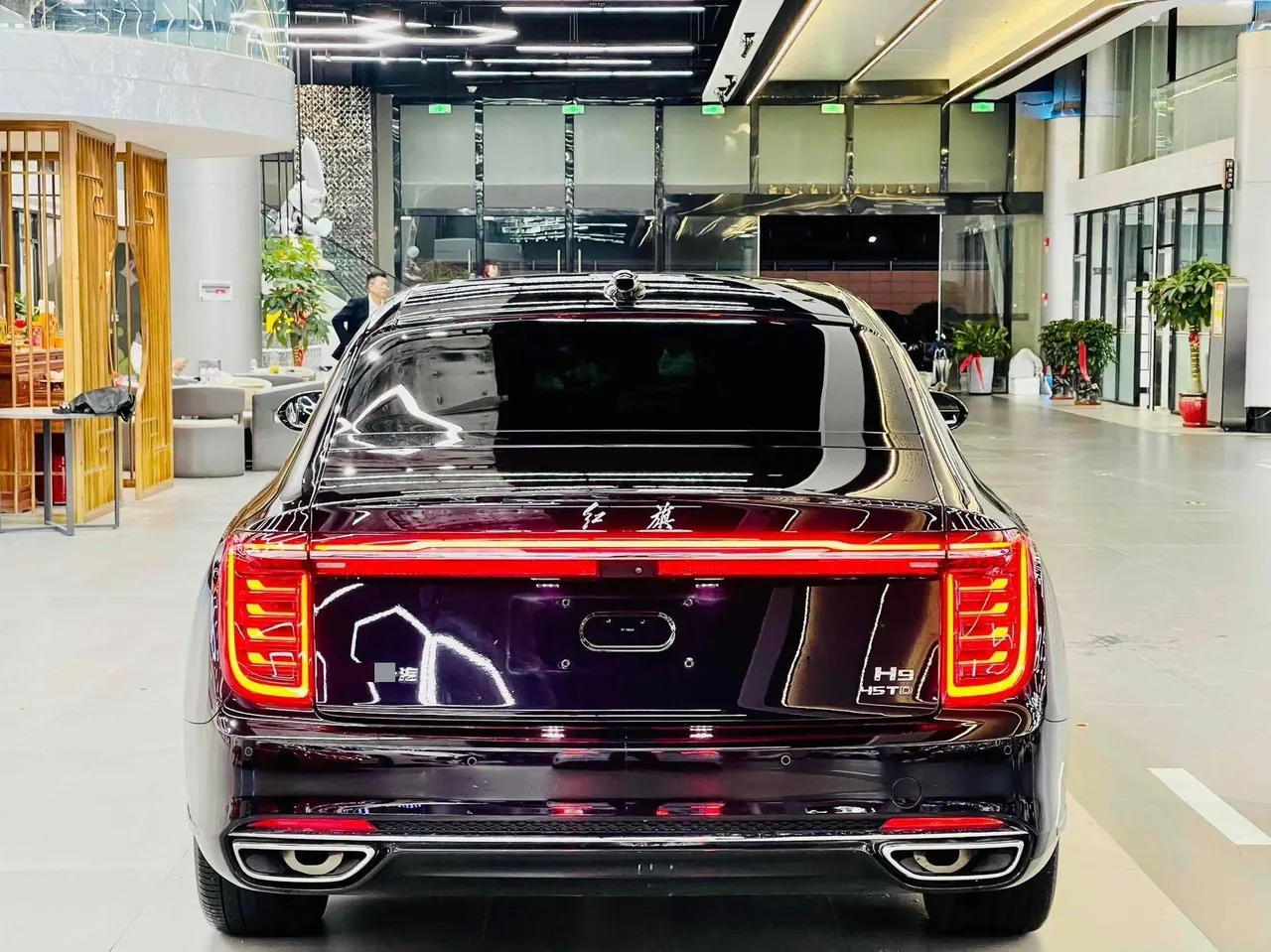HongQi 2020 H9 48V 2.0T Zhilian Flag Edition Automatic Gear 11