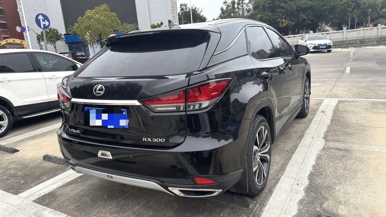 Lexus RX (Imported) 2020 RX300 2.0T Four-wheel Drive Elegant Automatic Gear 4