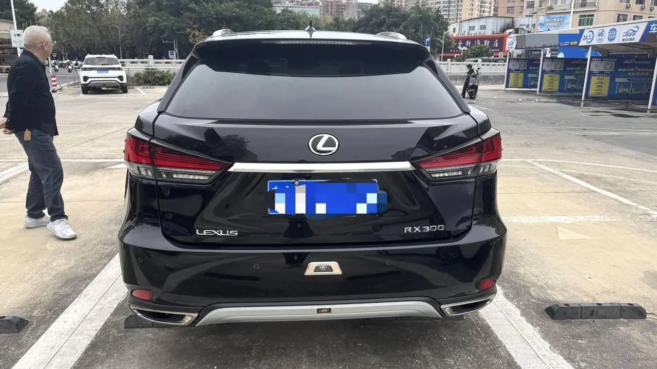 Lexus RX (Imported) 2020 RX300 2.0T Four-wheel Drive Elegant Automatic Gear 5