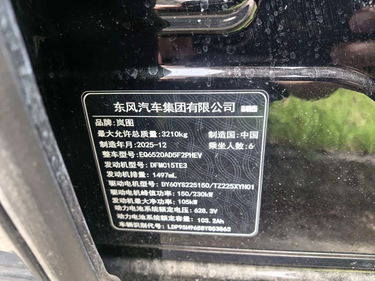 Voyah 2026 Taishan Max automatic gear 10