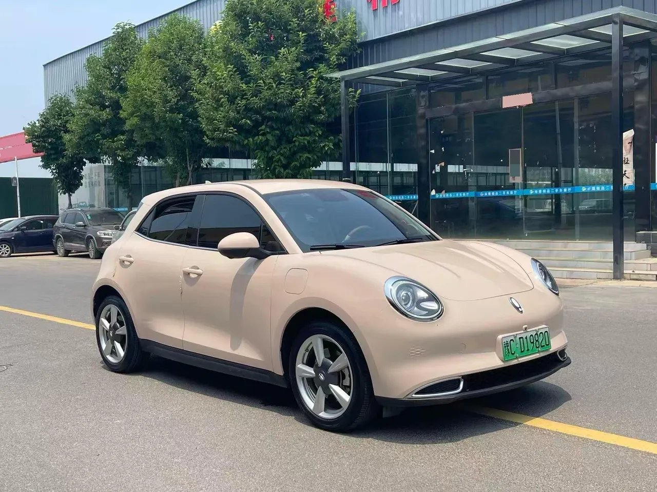 Ora 2022 Good Cat Morandi Edition 400km Standard Endurance Luxury Ternary Lithium Automatic Gear 4