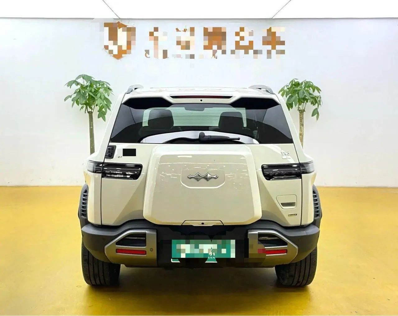 FangChengBao 2025 model Titanium 3, 501km range, four-wheel-drive intelligent driving Max version, automatic transmission 9