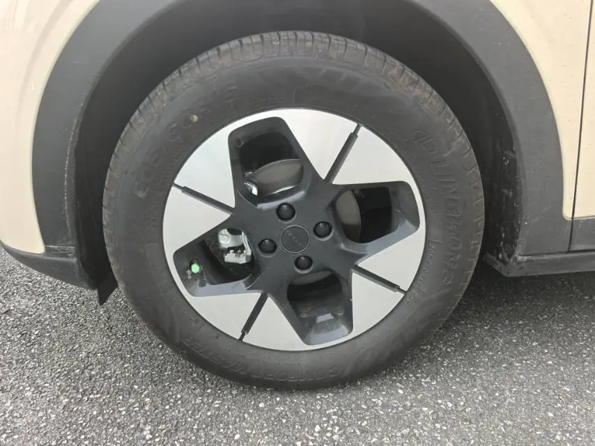 Geely 2025 Star Wish UP 410km Discovery Edition Automatic Gear 10