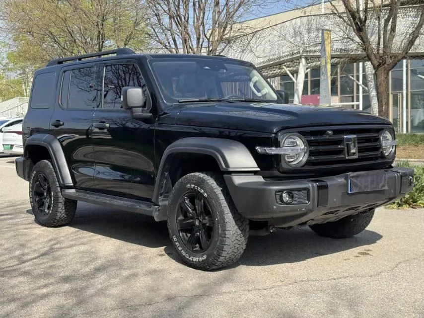 Tank 2023 Tank 300 2.0T Off-road Conqueror Automatic 3