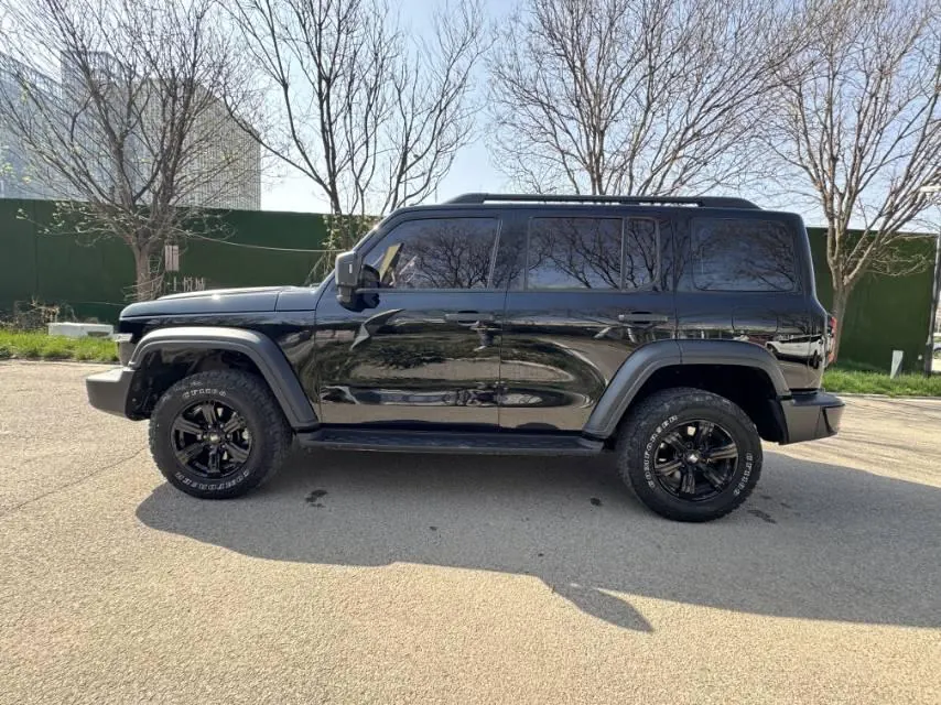 Tank 2023 Tank 300 2.0T Off-road Conqueror Automatic 8