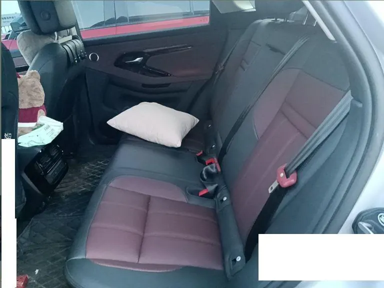 Land Rover 2024 Range Rover Aurora L 48V 2.0T 249PS Condensing Limited Edition Automatic Gear 3