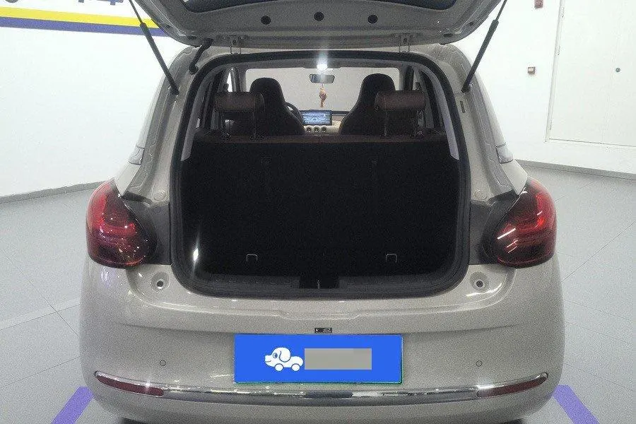 WuLing 2024 Plantronics 333km Enjoy Automatic Gear 10